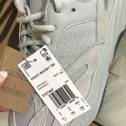 Yeezy Shoe