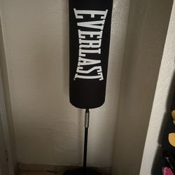 Everlast Punching Bag 