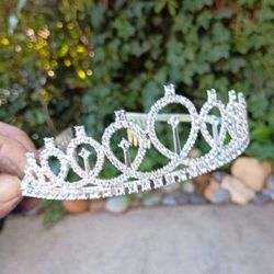 Tierra Princess Wedding Sweet 16 Celebration