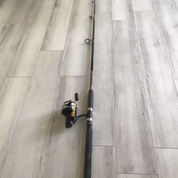 Fishing Rod/ Reel