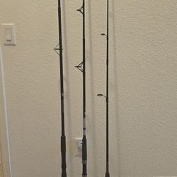 3 Spinning Fishing Rods $20 For All