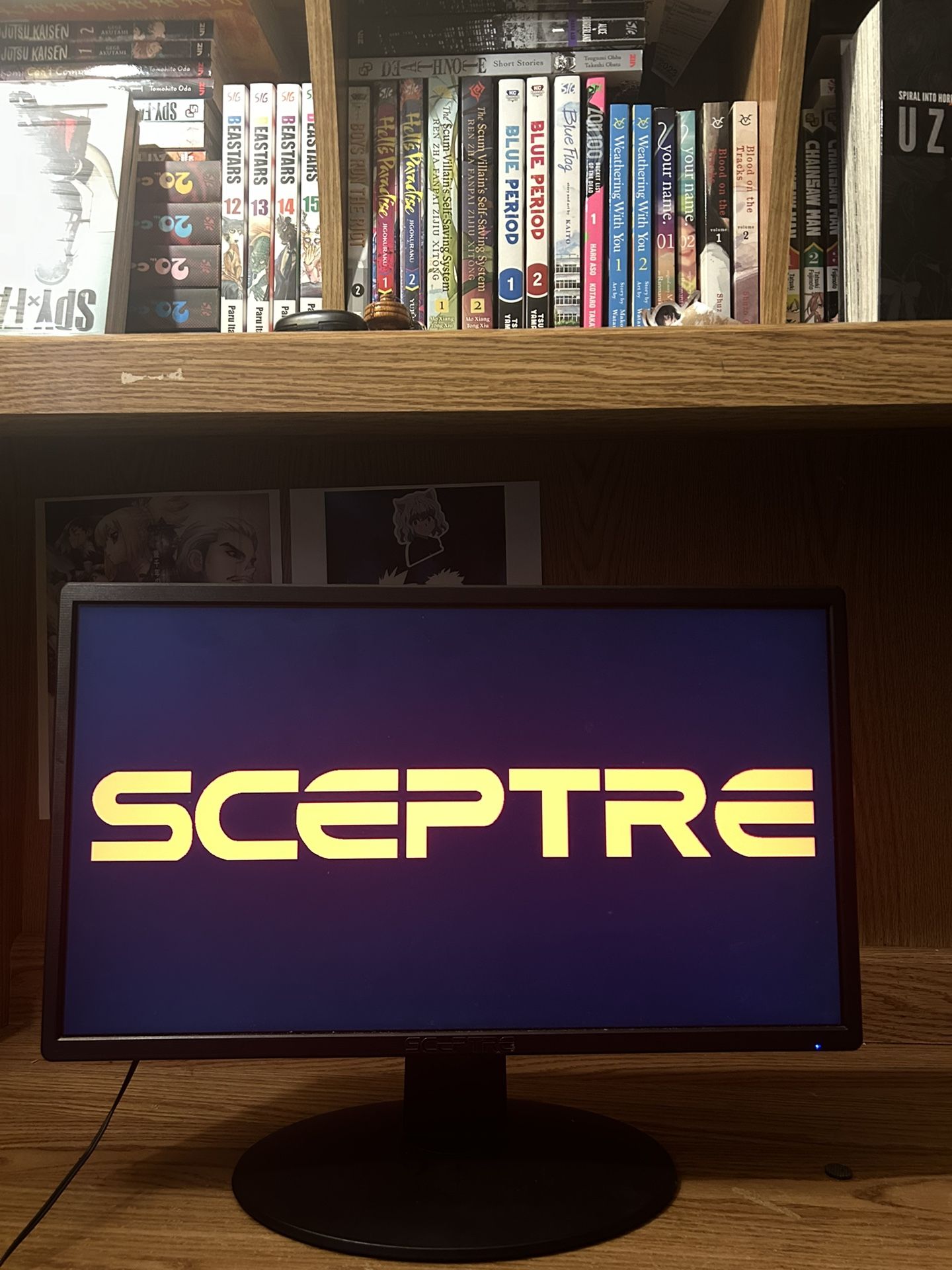 Sceptre 24-inch Gaming Monitor 