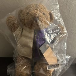 Brand New Supreme North Face Bear