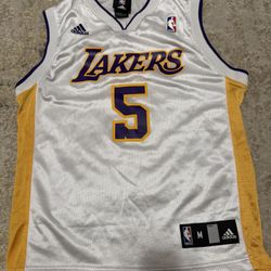 Vintage Authentics Adidas Jordan Farmar Los Angeles Lakers Jersey Size Medium In Kids Or Woman’s, Not Kobe, Luka, LeBron, Wemby