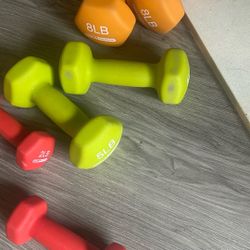 Dumbbells (8lb, 5lb, 2lb)
