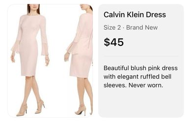 Calvin Klein Blush Pink Bell Sleeve Dress