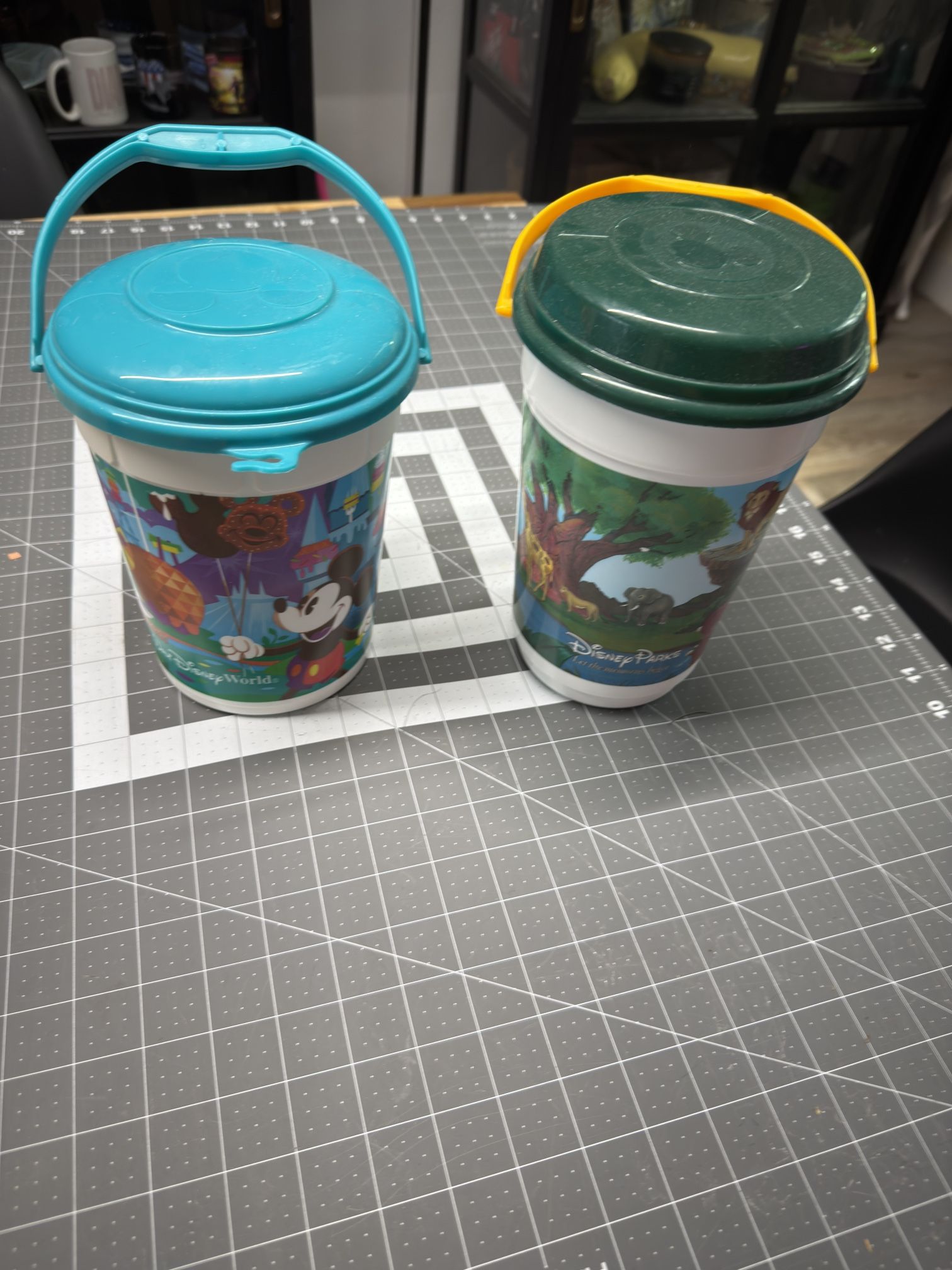 Disney World Popcorn Buckets