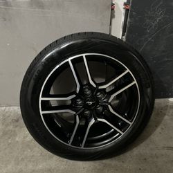 Mustang rims