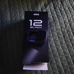 Go Pro 12 Black Edition