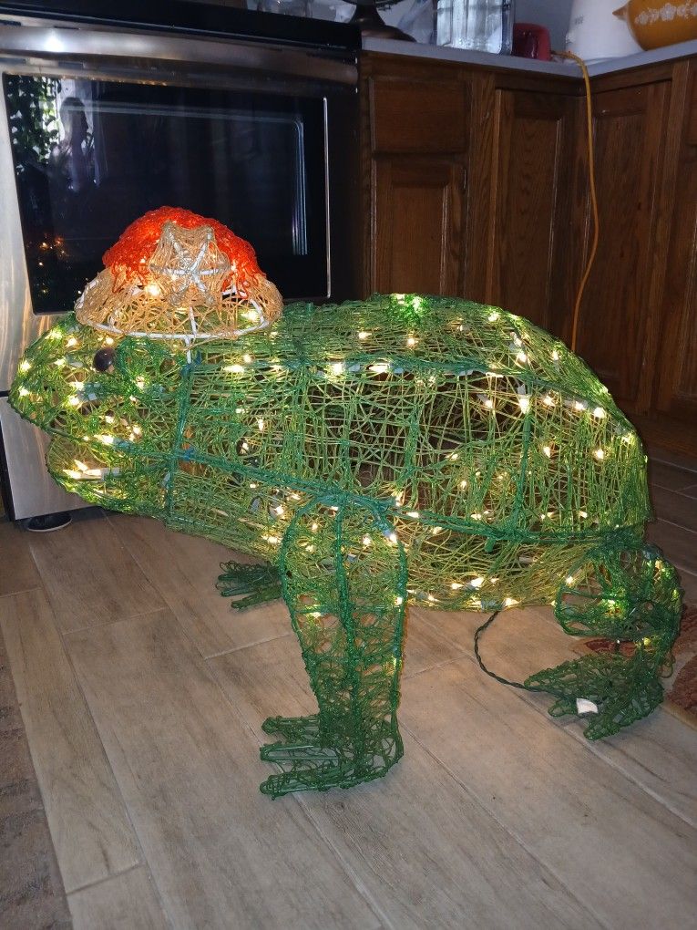 24 " Icy Friend Fanny The Frog