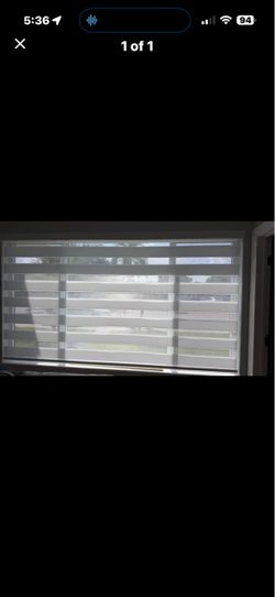 Zebra Shade white