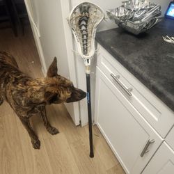 STX Crux 600 Womens Lacrosse Stick