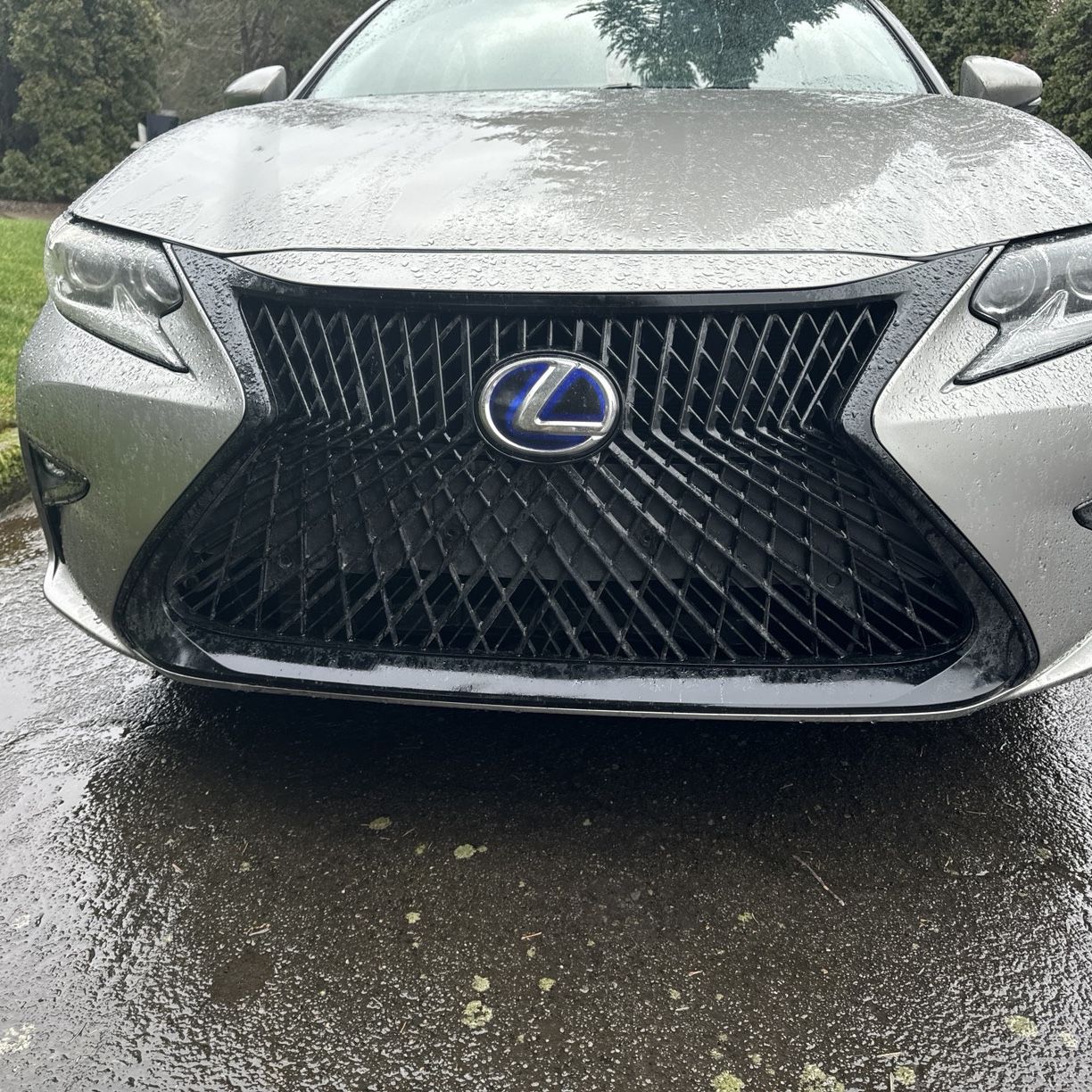 2017 Lexus ES 300h