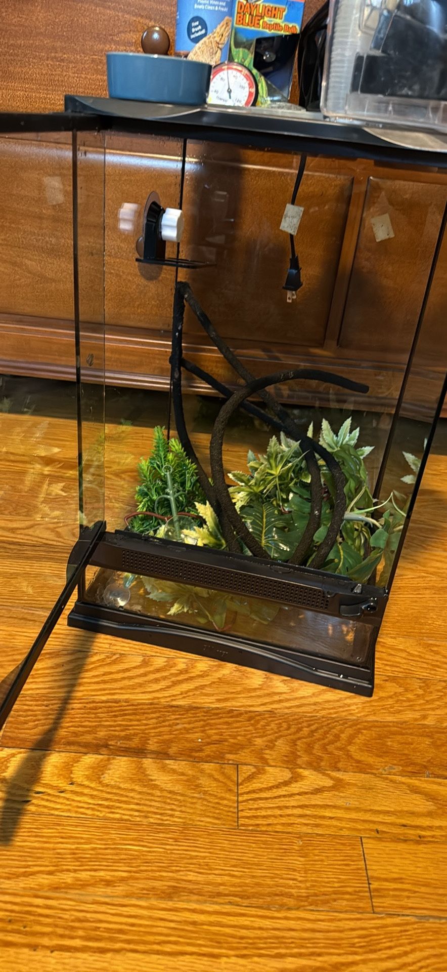 Crested gecko tank 12x12x18 and accessories only comes with everything you need