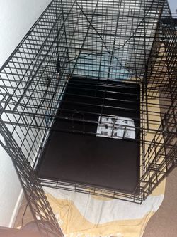 Large dog cage