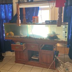 Fish tank 6 Wide And 3 Feet Everything Comes With It