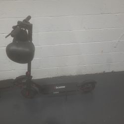 Two  Electric  Scooters