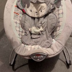 Fisher Price Baby Bouncer 