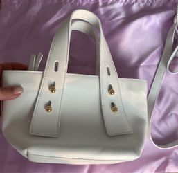 Frame Les Second Mini Crossbody Bag