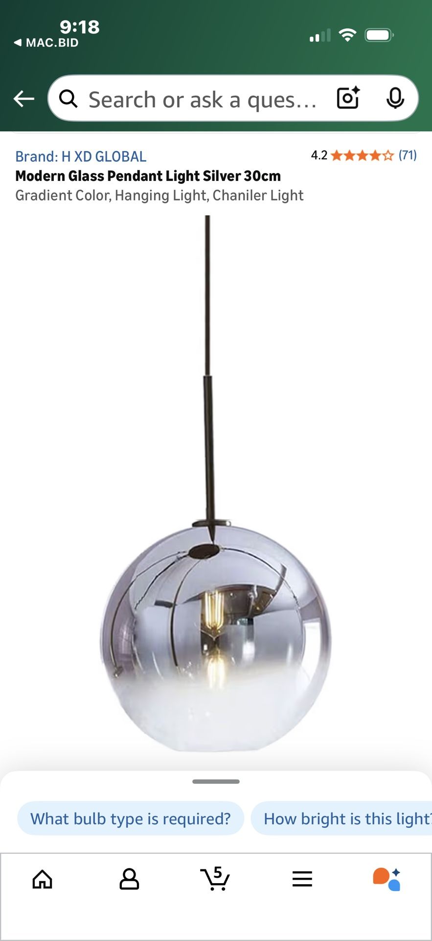 Brand New Hanging Globe Pendant Light