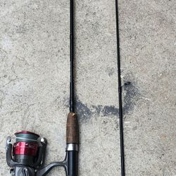 Matzuo Fishing Rod With DIAWA Reel 