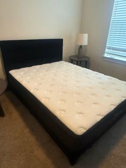 Great bed