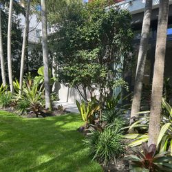 Sterling Green Lawn Care