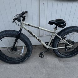 Fat Tire Mongoose Bike 