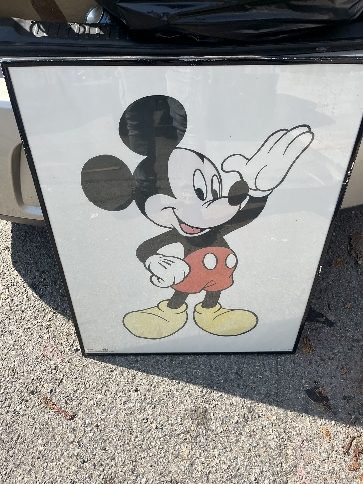 Mickey Mouse Walt Disney World