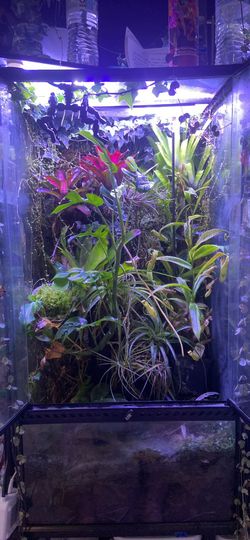 Terrarium