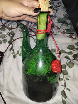 Antique Bottle Terrarium 