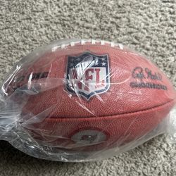 Official NFL Tampa bucs Football 