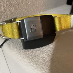 Fi Dog Collar Tracker 