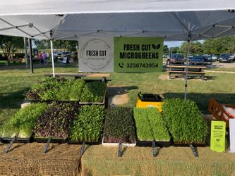 Nutritional  fresh microgreen