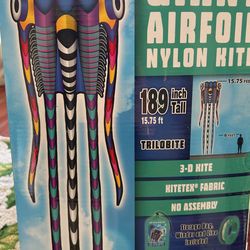 Giant Air Foil, Nylon Kite