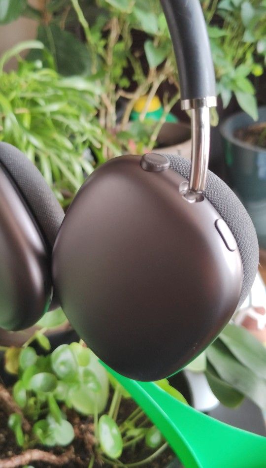 Airpods Max