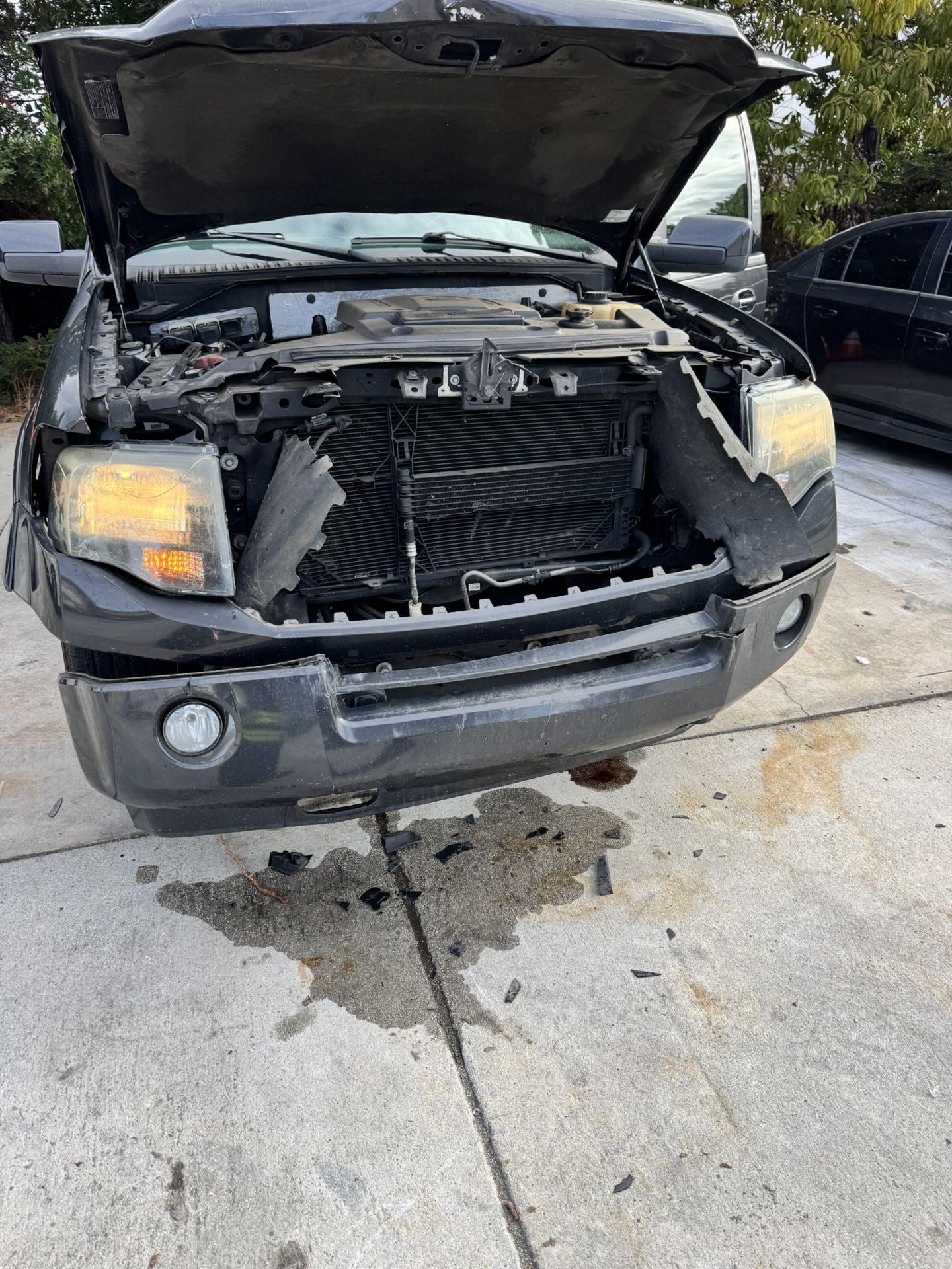 2007 Ford Expedition