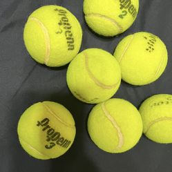 $7 Dog Toys Tennis Balls