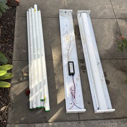 T-12 fluorescent bulbs and fixtures  FREE