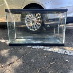 30 Gallon Fish Tank