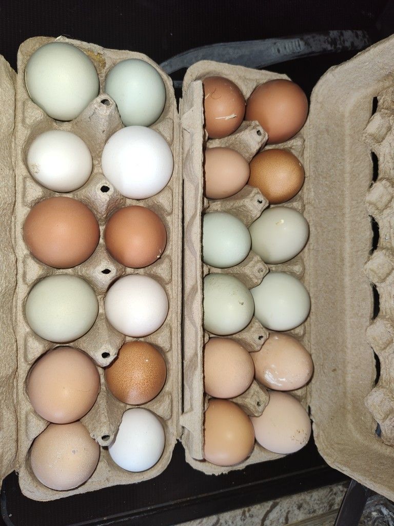 Farm Fresh
