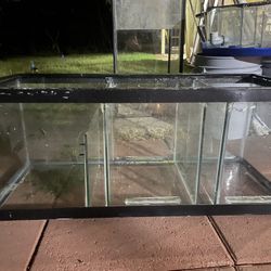 20 Gallons DIY Fish Tank Sump