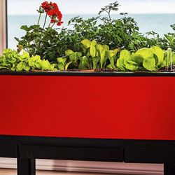 In/Outdoor Self Watering Garden - Red