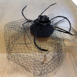 Elegant Black Feather Birdcage Hairpiece