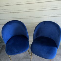 Dining Chairs 