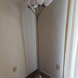 2 Floor Lamps