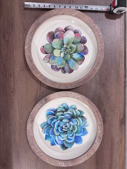 2  15” Succulent steel pictures