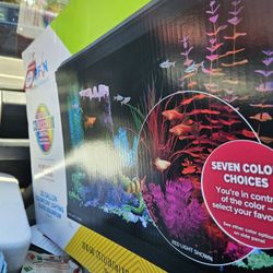 20 Gallon Tank