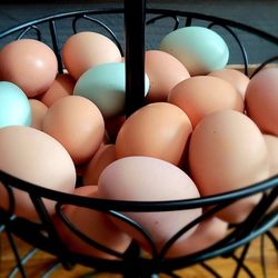 Farm Fresh Eggs- Free Range