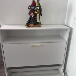 Modern Modern Slim White Shoe Storage Cabinet / Entryway Organizer